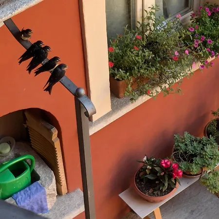 Le Rondini C Apartamento Intra